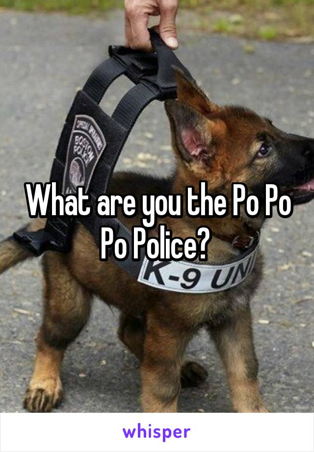 What are you the Po Po Po Police? 