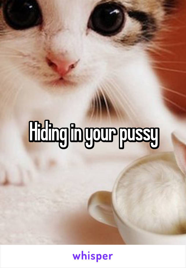 Hiding in your pussy