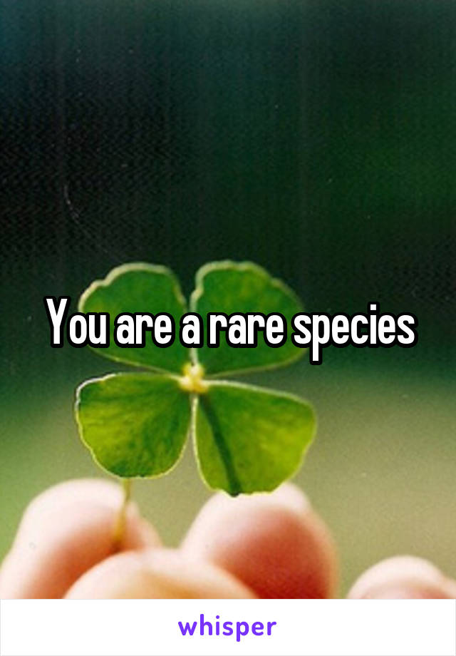 You are a rare species