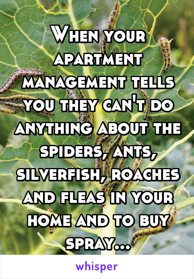 When your apartment management tells you they can't do anything about the spiders, ants, silverfish, roaches and fleas in your home and to buy spray...