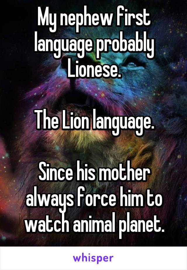 My nephew first language probably Lionese.

The Lion language.

Since his mother always force him to watch animal planet.
