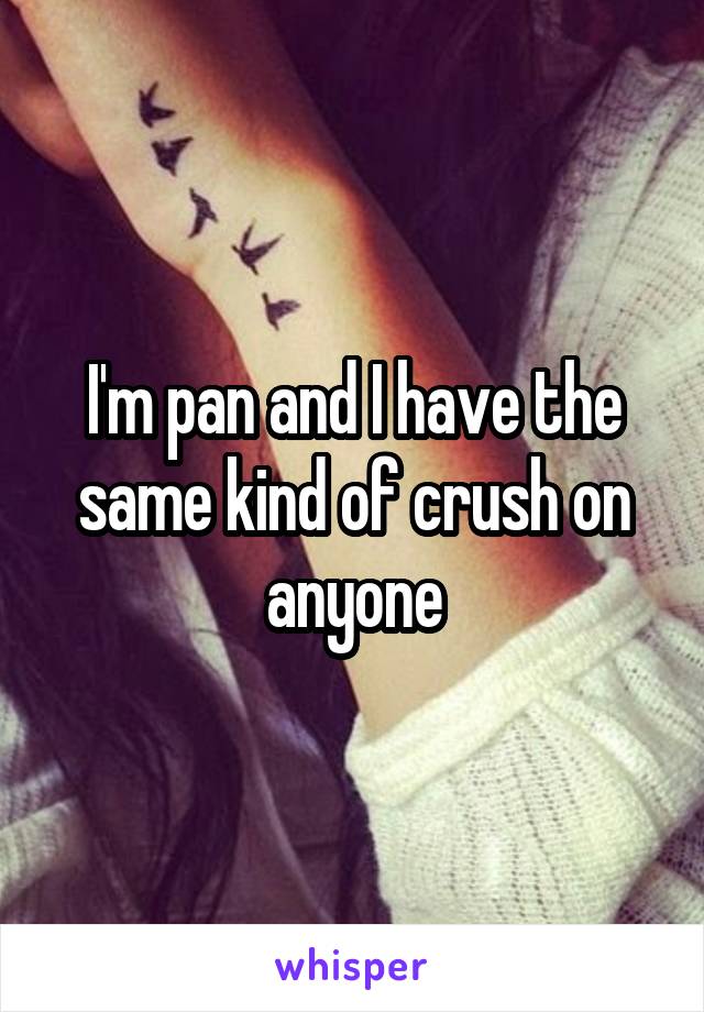 I'm pan and I have the same kind of crush on anyone