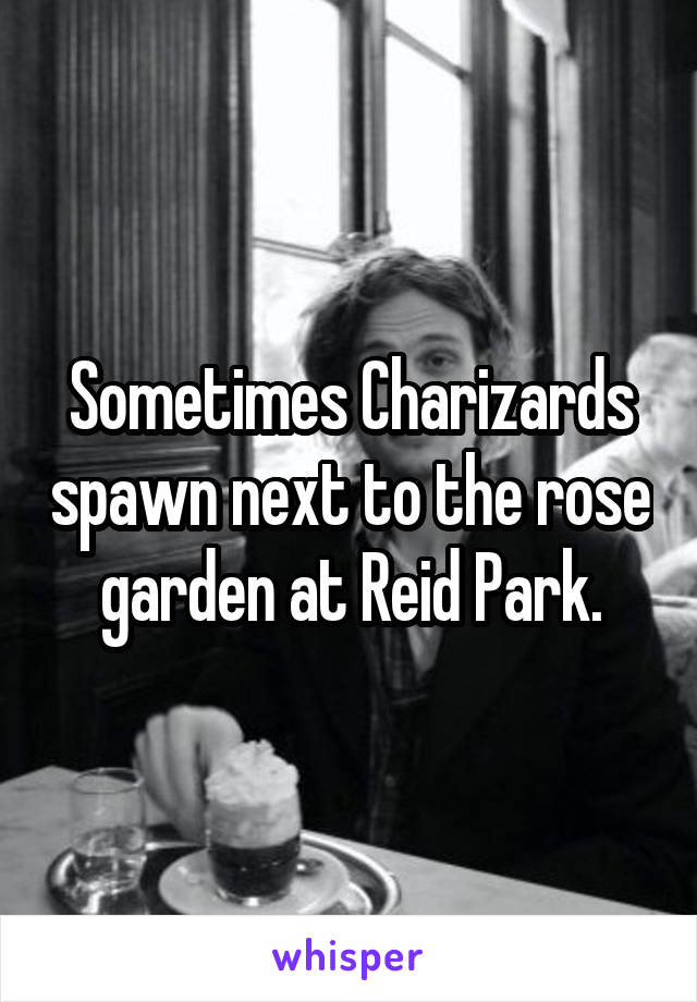 Sometimes Charizards spawn next to the rose garden at Reid Park.