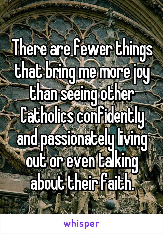 There are fewer things that bring me more joy than seeing other Catholics confidently and passionately living out or even talking about their faith.