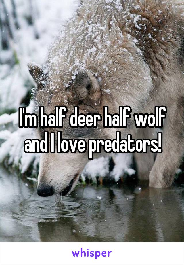 I'm half deer half wolf and I love predators!