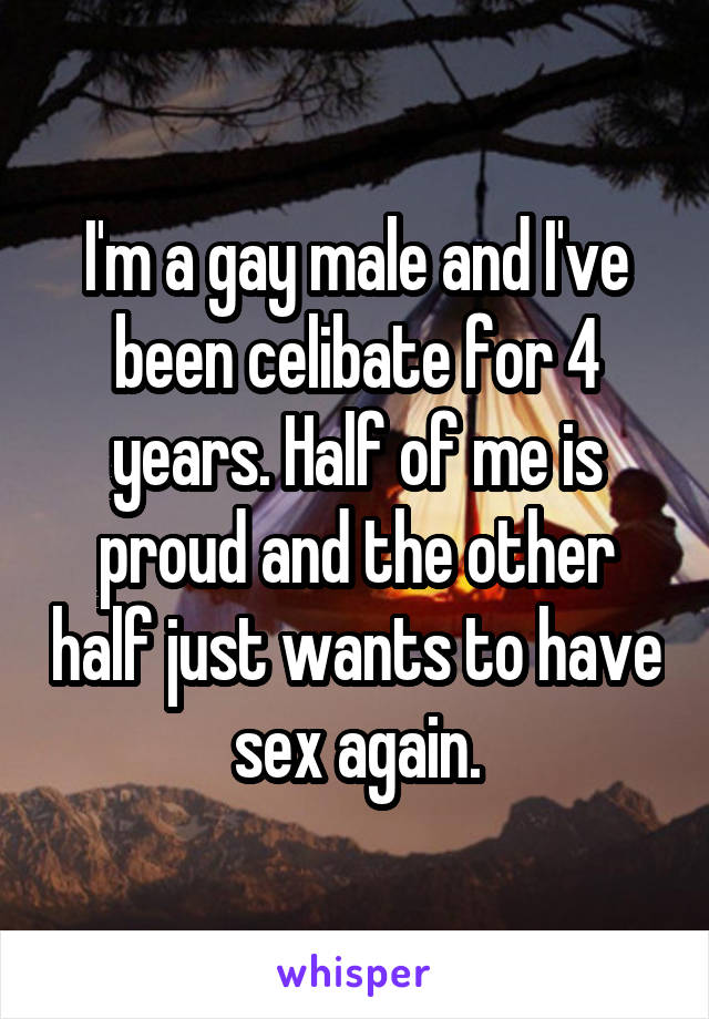 I'm a gay male and I've been celibate for 4 years. Half of me is proud and the other half just wants to have sex again.