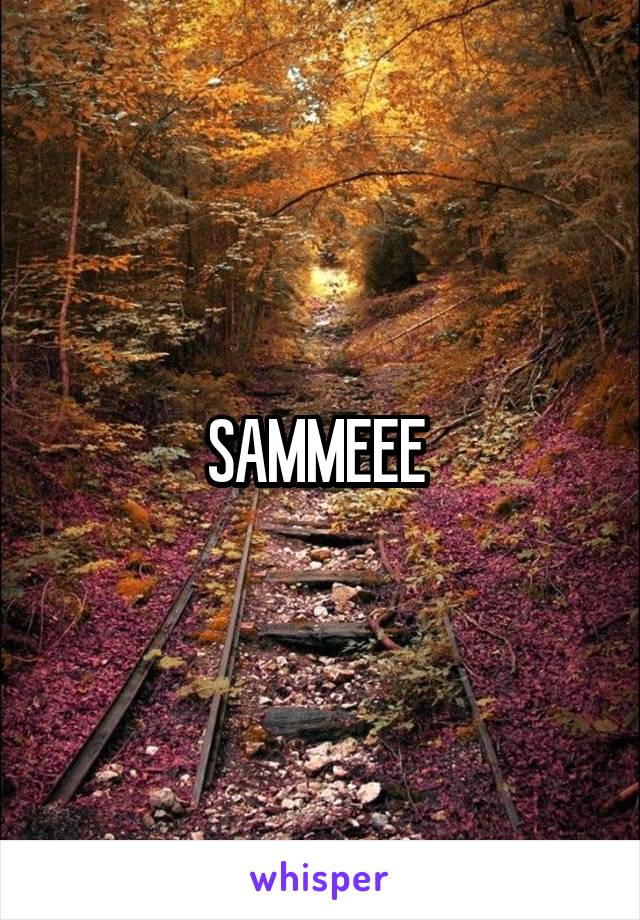 SAMMEEE 