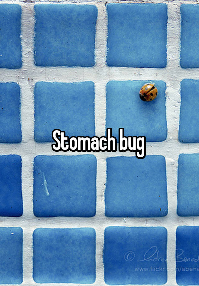 Stomach bug