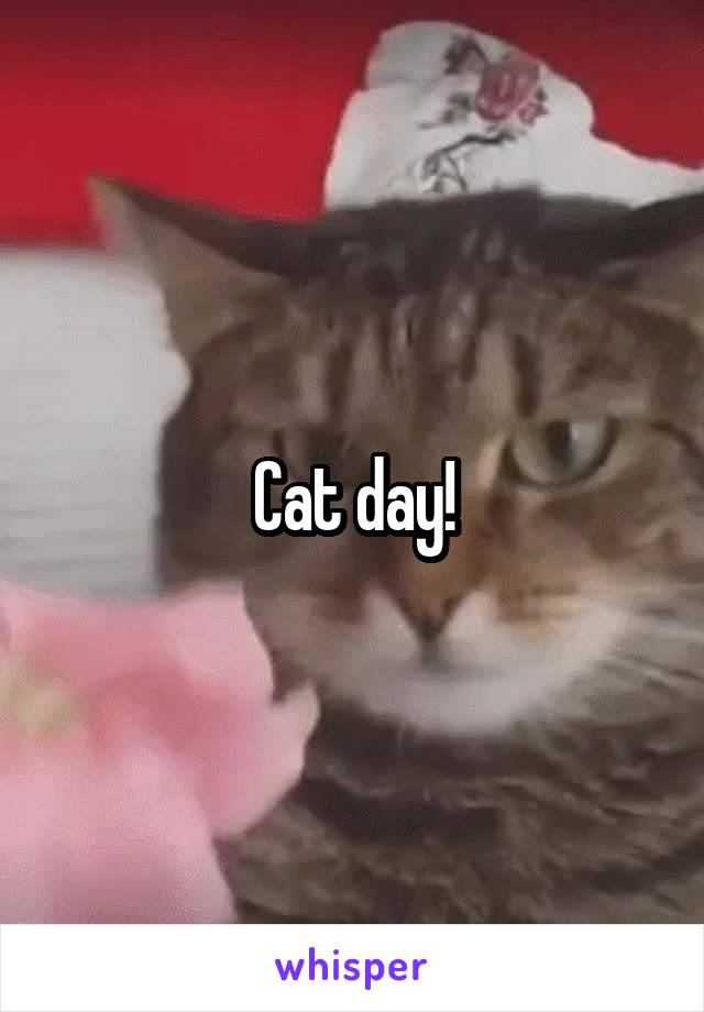 Cat day!
