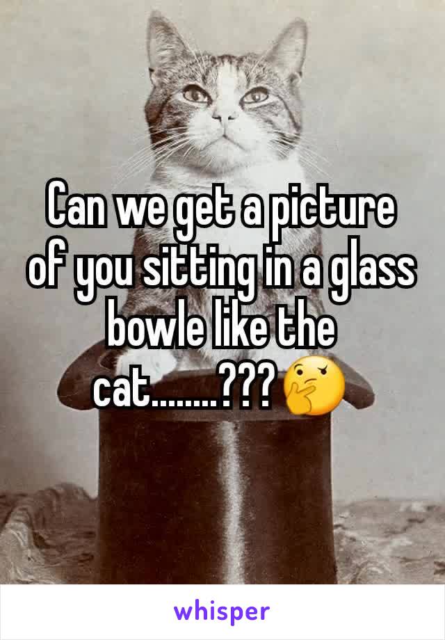 Can we get a picture of you sitting in a glass bowle like the cat........???🤔