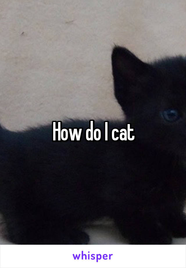 How do I cat