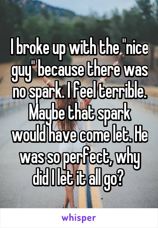 I broke up with the "nice guy" because there was no spark. I feel terrible. Maybe that spark would have come let. He was so perfect, why did I let it all go? 