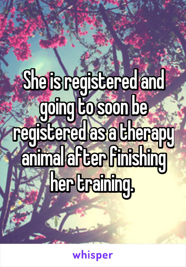 She is registered and going to soon be registered as a therapy animal after finishing her training. 