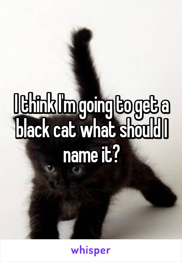 I think I'm going to get a black cat what should I name it?