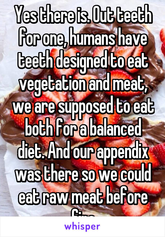 Yes there is. Out teeth for one, humans have teeth designed to eat vegetation and meat, we are supposed to eat both for a balanced diet. And our appendix was there so we could eat raw meat before fire