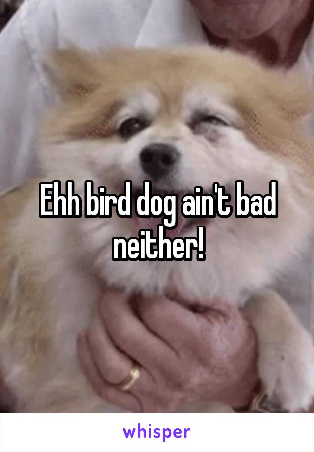 Ehh bird dog ain't bad neither!