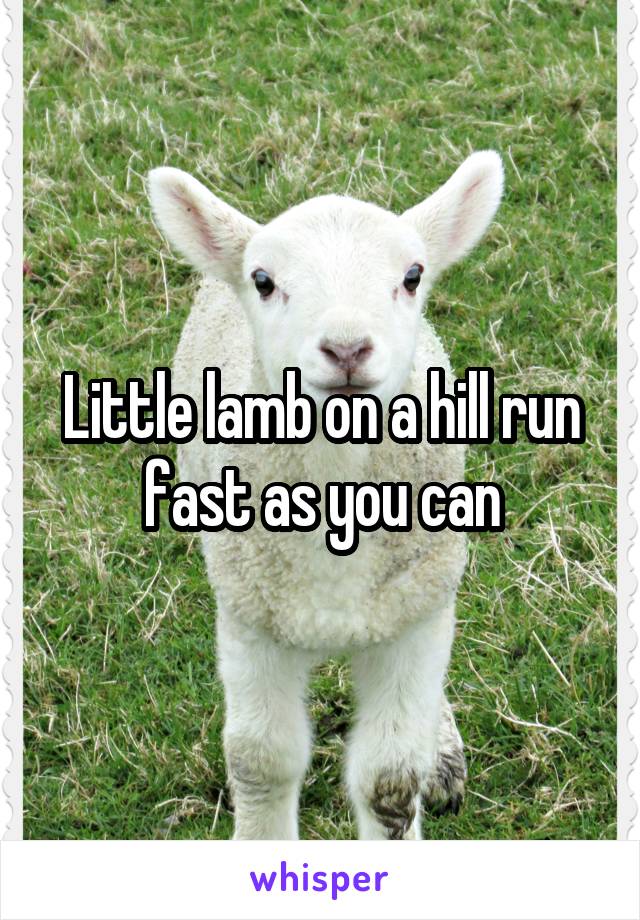 Little lamb on a hill run fast as you can