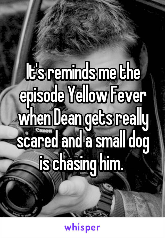 It's reminds me the episode Yellow Fever when Dean gets really scared and a small dog is chasing him. 