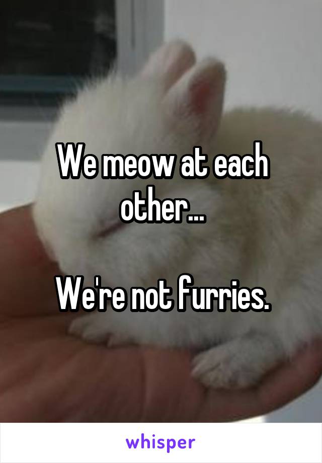 We meow at each other...

We're not furries.
