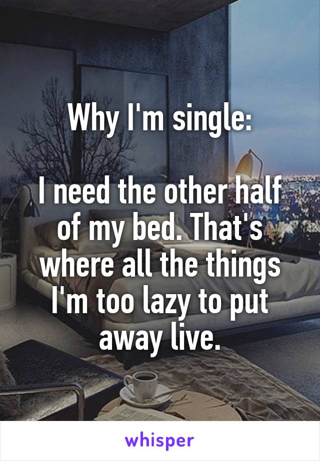 Why I'm single:

I need the other half of my bed. That's where all the things I'm too lazy to put away live.