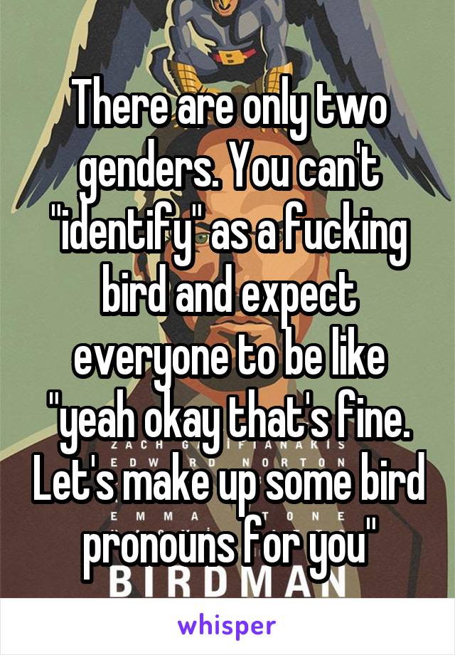 There are only two genders. You can't "identify" as a fucking bird and expect everyone to be like "yeah okay that's fine. Let's make up some bird pronouns for you"