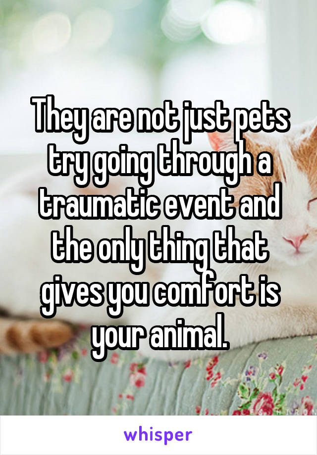 They are not just pets try going through a traumatic event and the only thing that gives you comfort is your animal.
