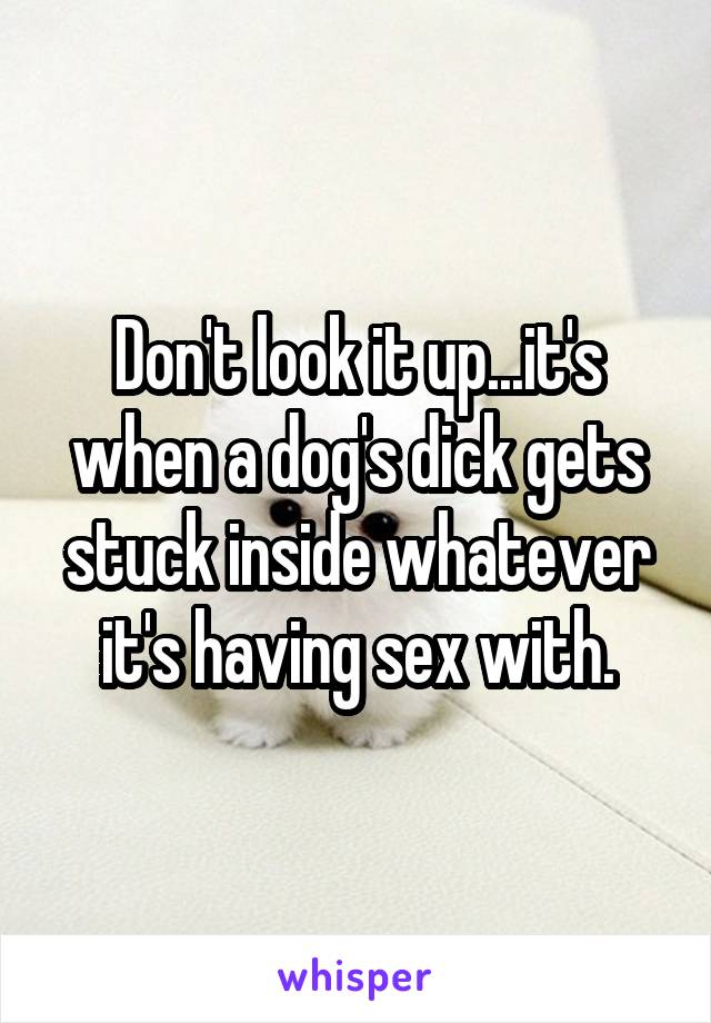 Don't look it up...it's when a dog's dick gets stuck inside whatever it's having sex with.
