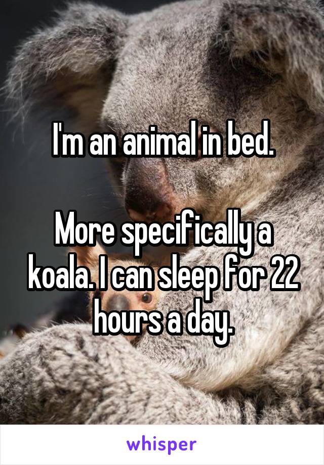 I'm an animal in bed.

More specifically a koala. I can sleep for 22 hours a day.