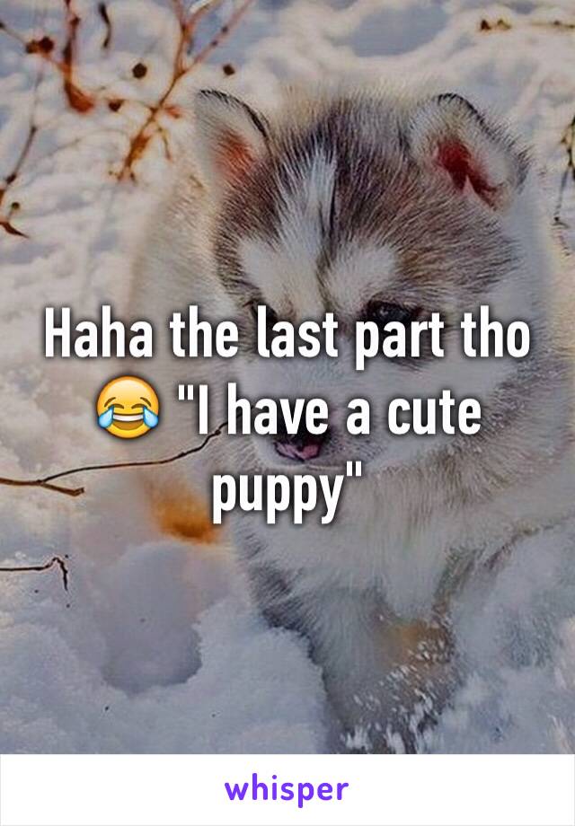 Haha the last part tho 😂 "I have a cute puppy" 