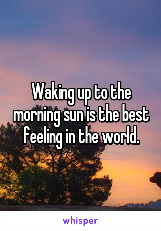 Waking up to the morning sun is the best feeling in the world.
