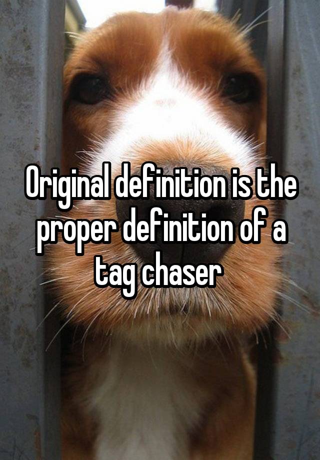 chaser gay definition