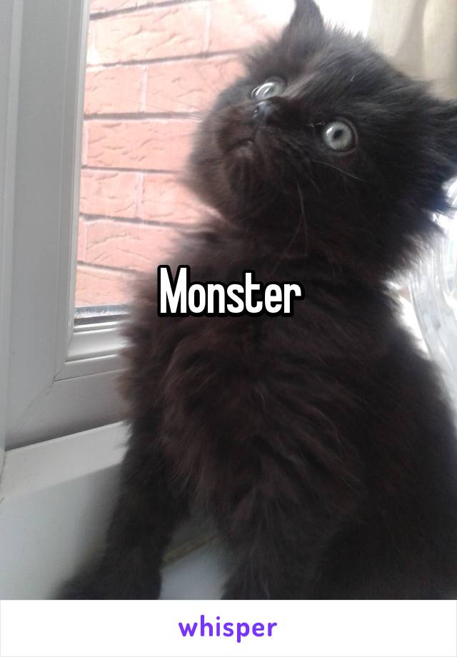 Monster
