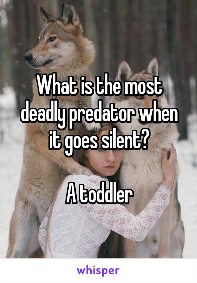 What is the most deadly predator when it goes silent?

A toddler