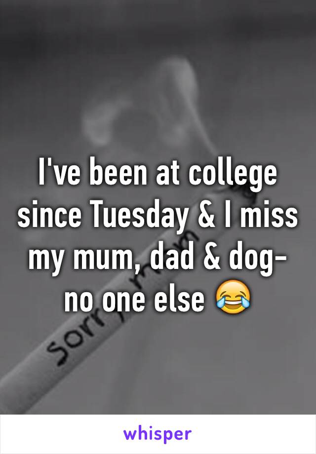 I've been at college since Tuesday & I miss my mum, dad & dog- no one else 😂