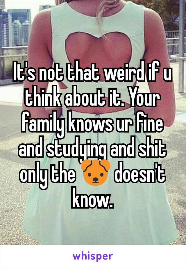 It's not that weird if u think about it. Your family knows ur fine and studying and shit only the 🐶 doesn't know.