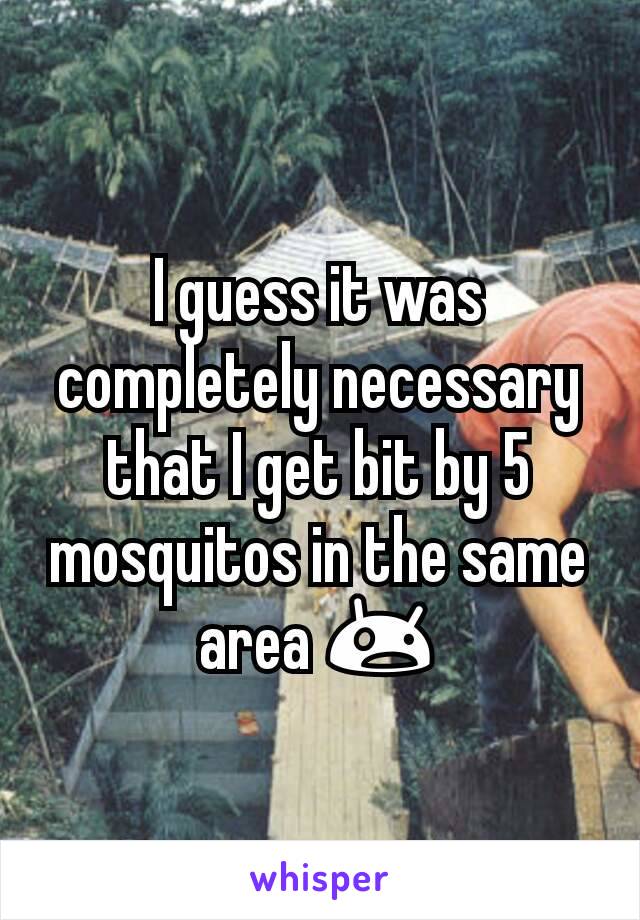 I guess it was completely necessary that I get bit by 5 mosquitos in the same area 😲