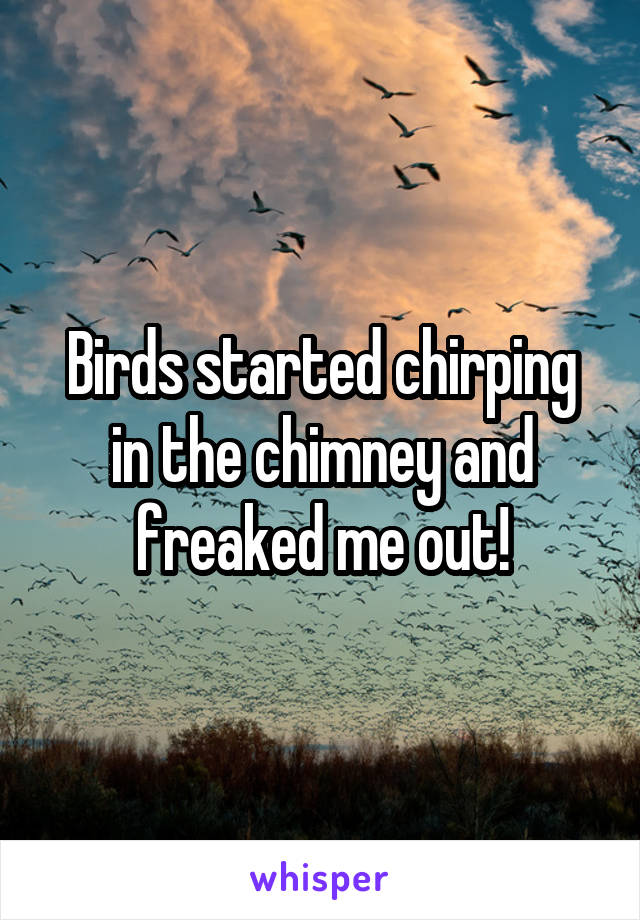 Birds started chirping in the chimney and freaked me out!