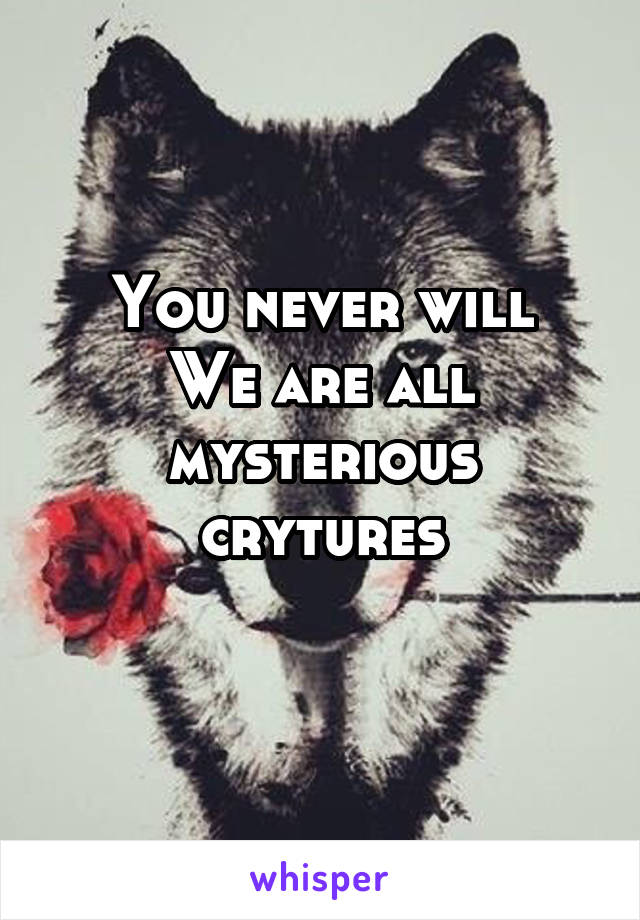 You never will
We are all mysterious crytures
