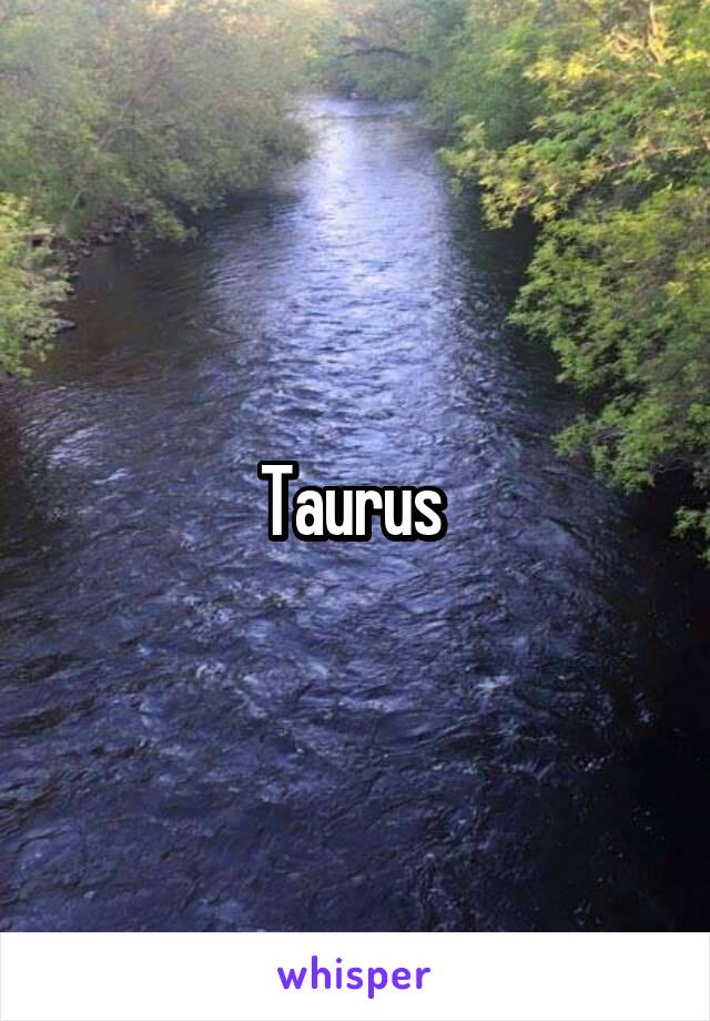 Taurus 