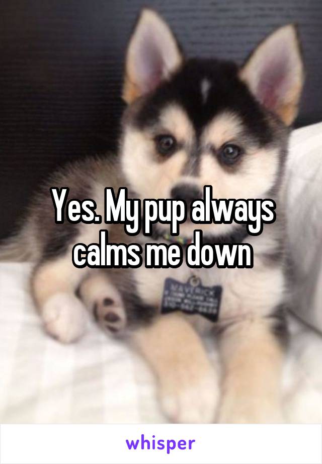 Yes. My pup always calms me down