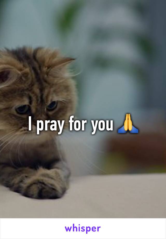 I pray for you 🙏