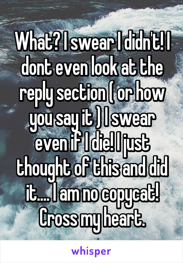 What? I swear I didn't! I dont even look at the reply section ( or how you say it ) I swear even if I die! I just thought of this and did it.... I am no copycat! Cross my heart.