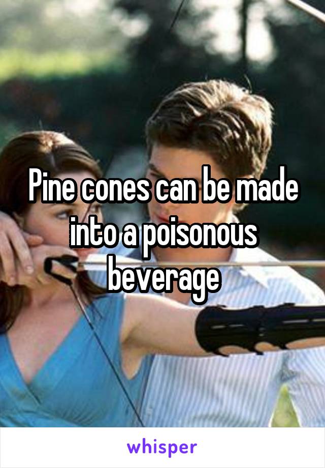 Pine cones can be made into a poisonous beverage