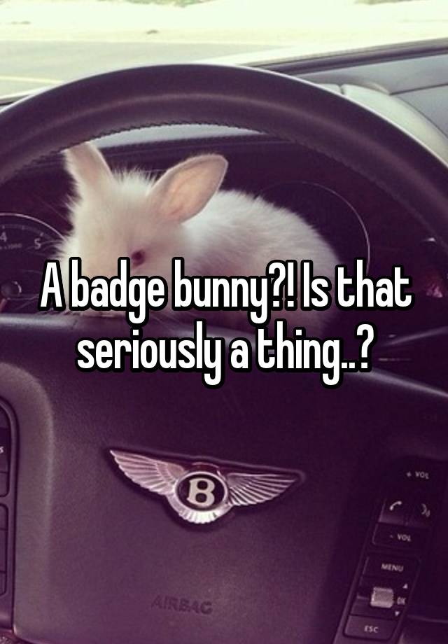 a-badge-bunny-is-that-seriously-a-thing