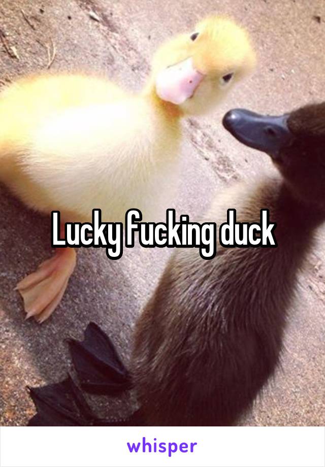 Lucky fucking duck