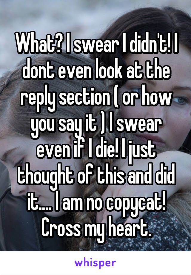 What? I swear I didn't! I dont even look at the reply section ( or how you say it ) I swear even if I die! I just thought of this and did it.... I am no copycat! Cross my heart.