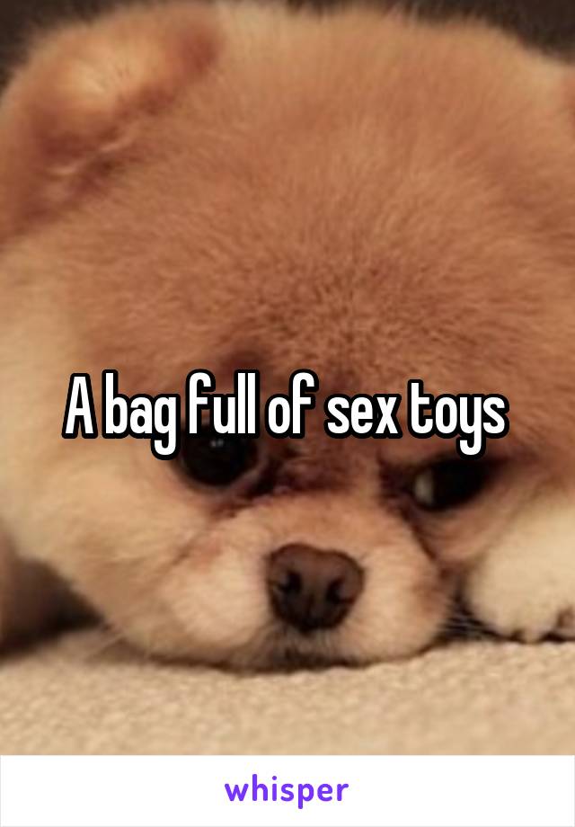 A bag full of sex toys 