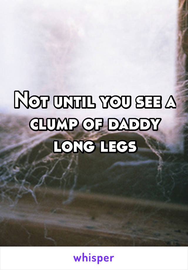 Not until you see a clump of daddy long legs
