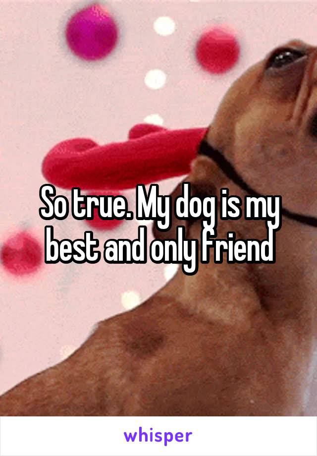 So true. My dog is my best and only friend