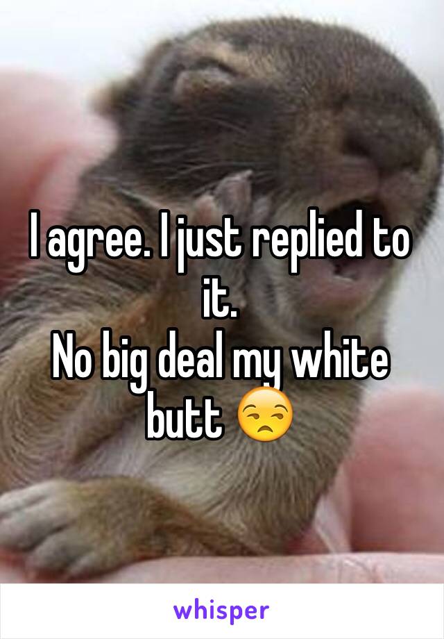 I agree. I just replied to it. 
No big deal my white butt 😒